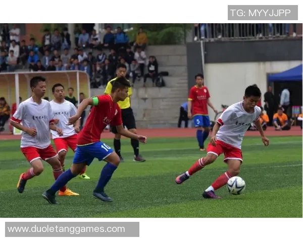 杭州排球队的奋斗历程与洲际杯荣耀之路探秘