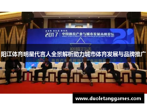 阳江体育明星代言人全景解析助力城市体育发展与品牌推广